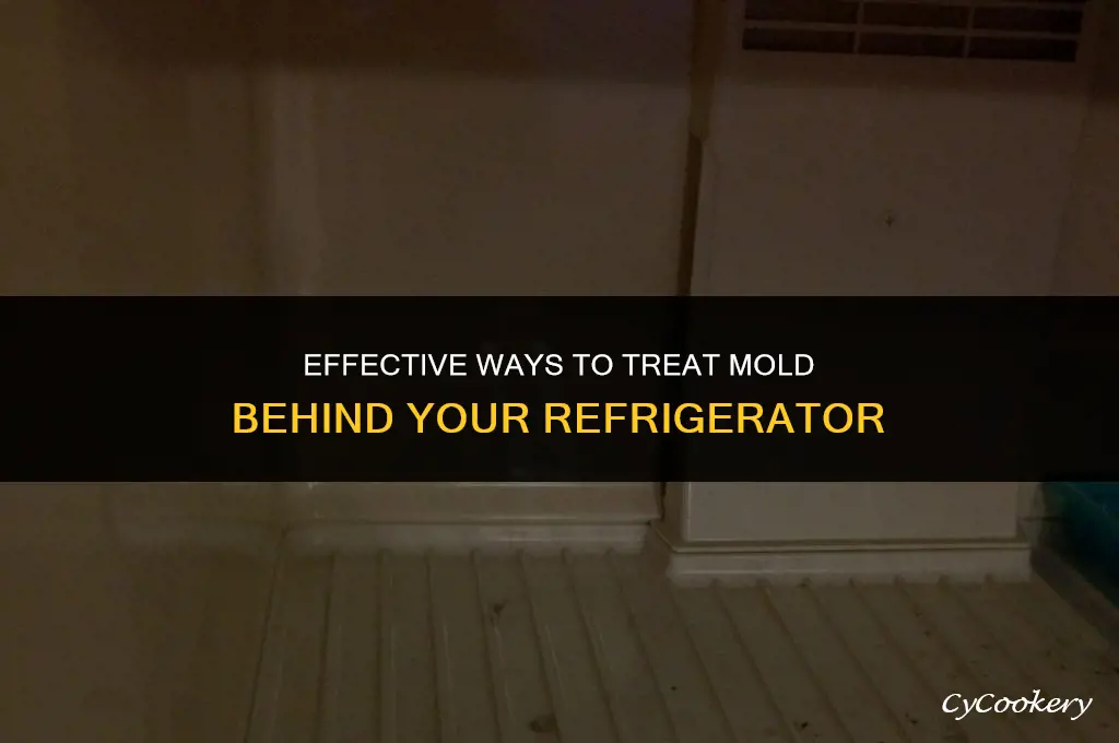 how to treat mold on wall behind refrigerator