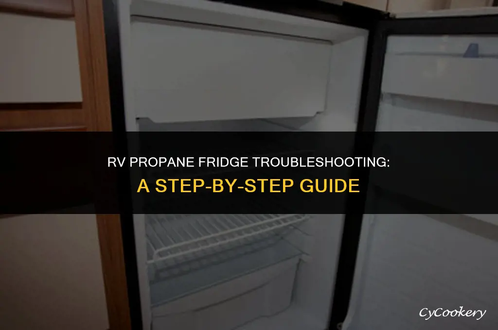 how to trouble shoot a rv propane refrigerator