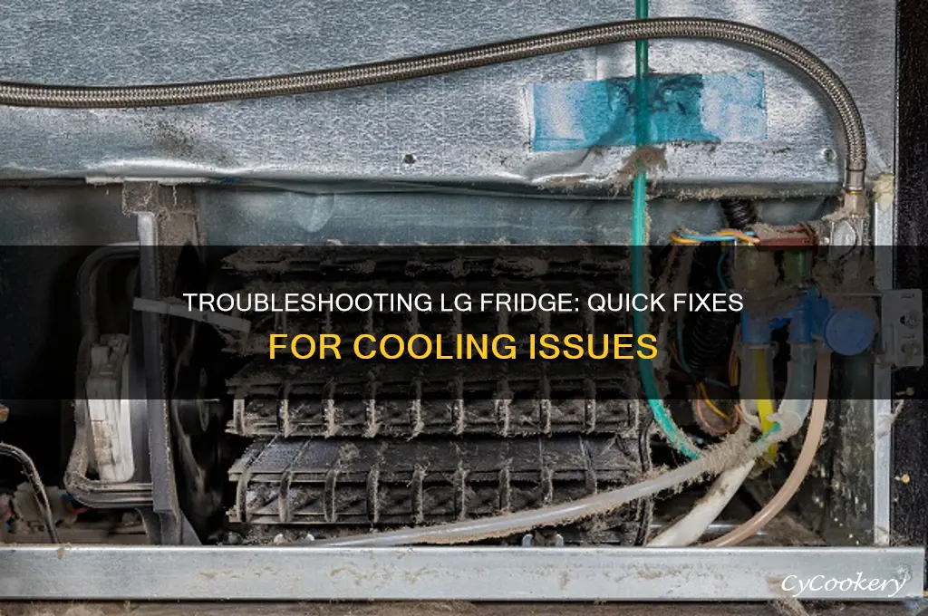 how to troubleshoot lg refrigerator not cooling