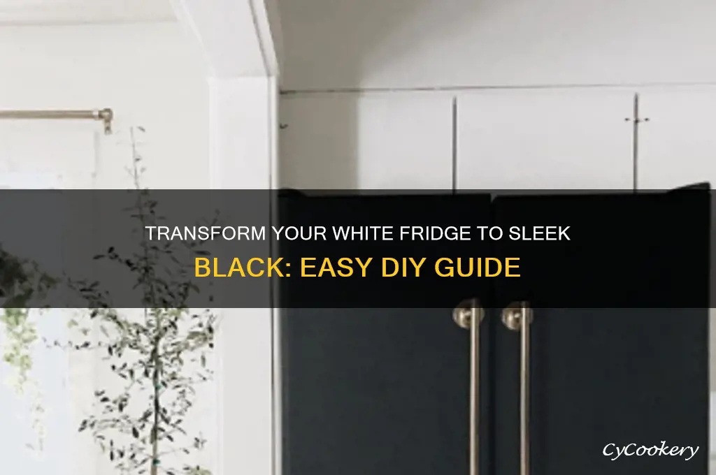 how to turn a white refrigerator black