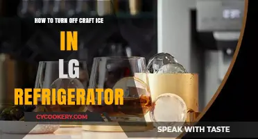 Chill Control: Mastering the Art of Craft Ice in Your LG Fridge