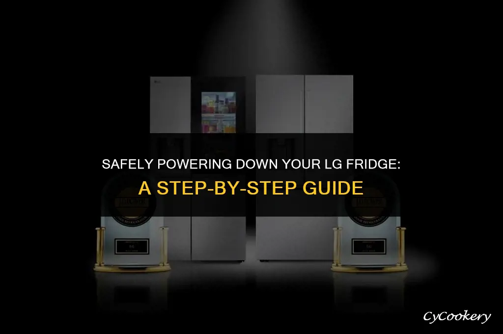 how to turn off lg refrigerator without unplugging