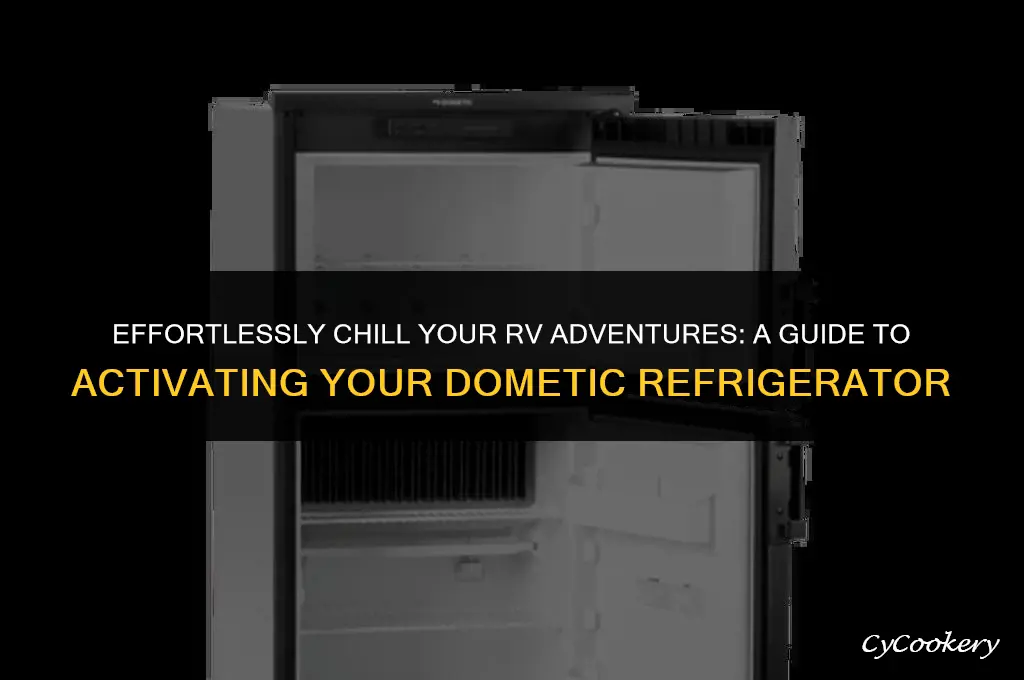 how to turn on a dometic rv refrigerator