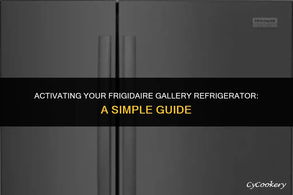 how to turn on a frigidaire gallery refrigerator