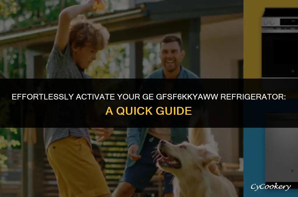 how to turn on a ge refrigerator gfsf6kkyaww
