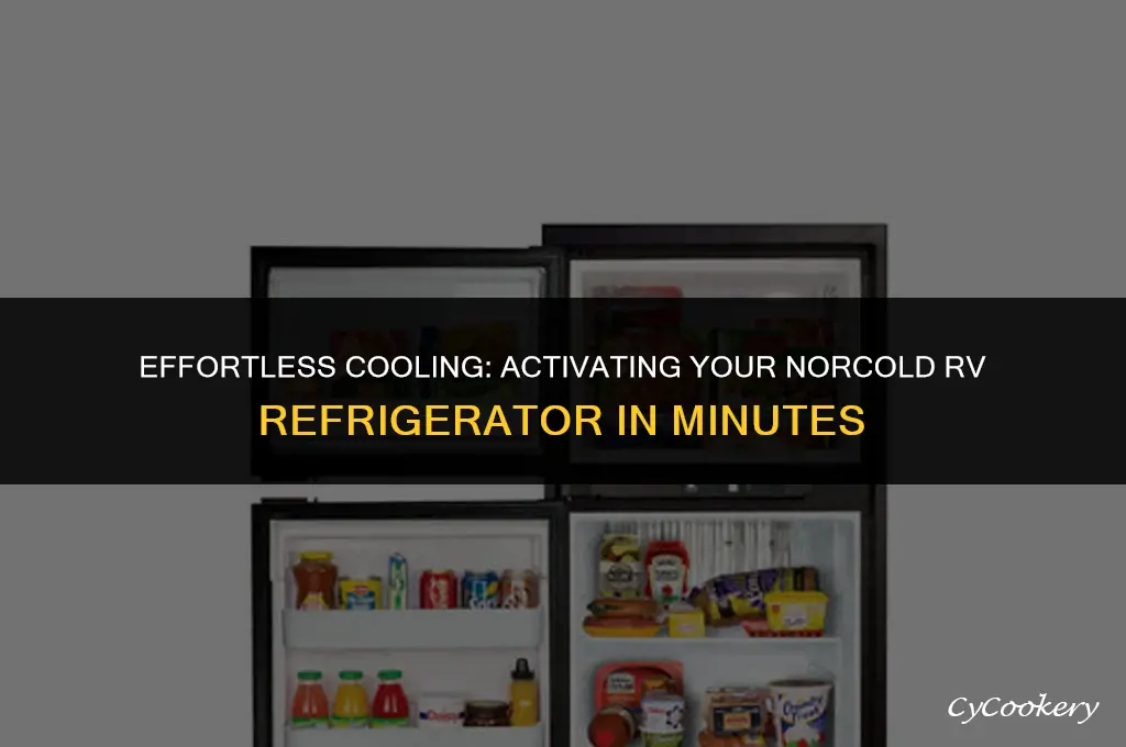 how to turn on a norcold rv refrigerator