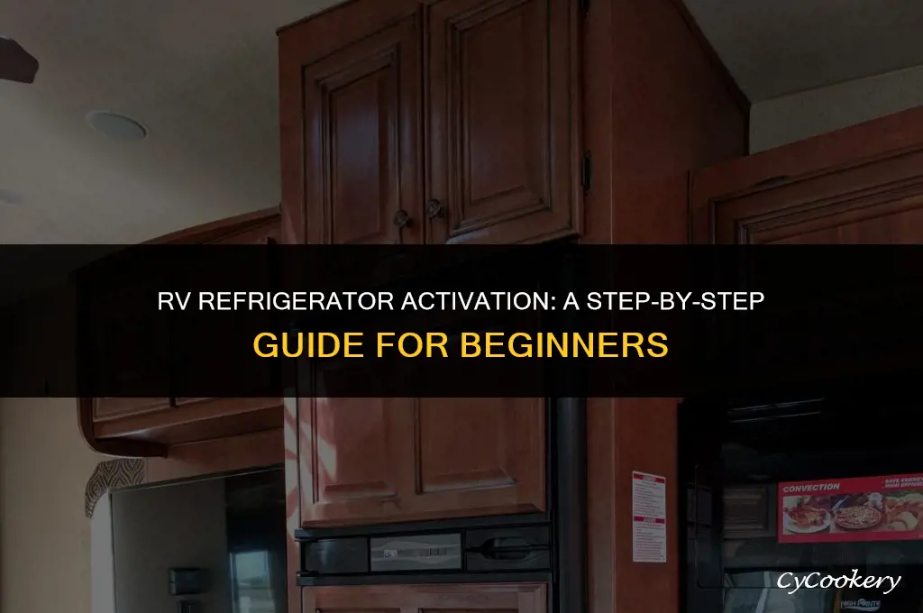 how to turn on a refrigerator in an rv