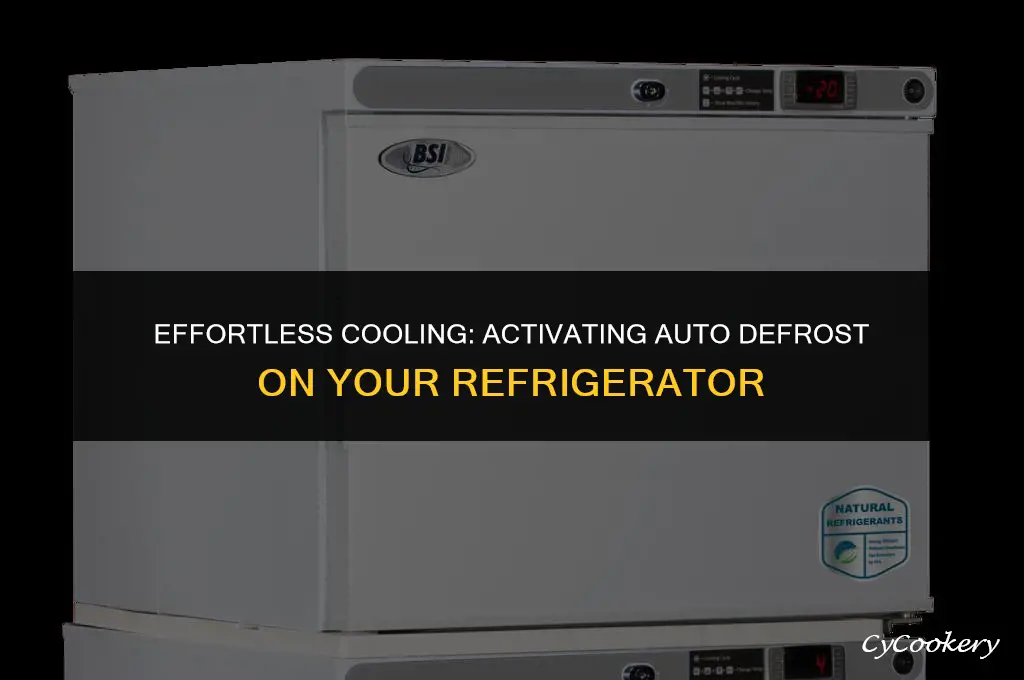 how to turn on an auto defrost refrigerator