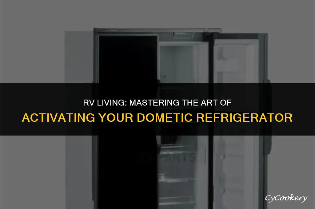 how to turn on domegic refrigerator inn rv