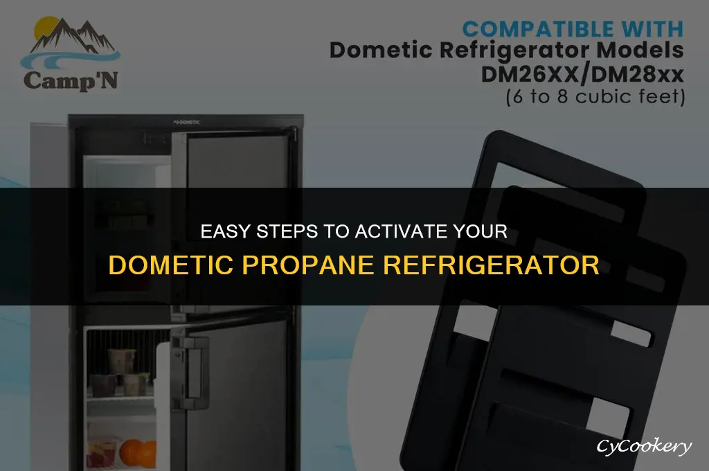 how to turn on dometic refrigerator for propane gas