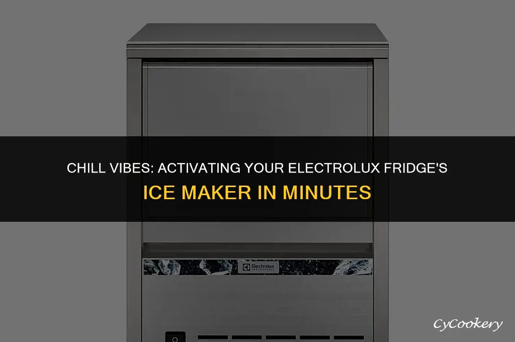 how to turn on icemaker on electrolux refrigerator