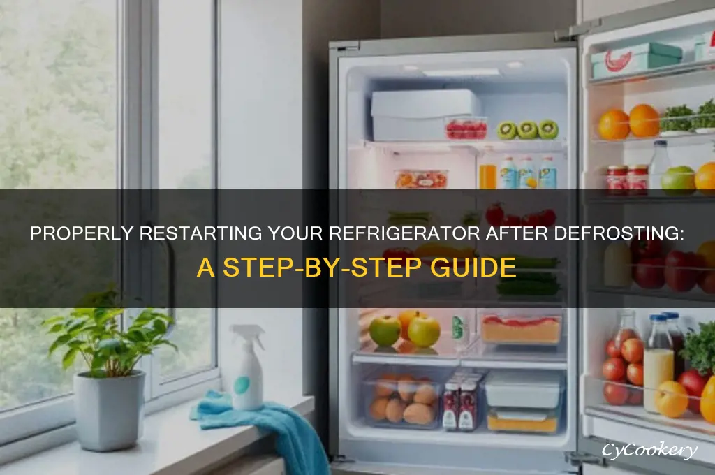 how to turn on refrigerator after defrosting