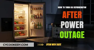 Reviving Your Fridge: A Simple Guide Post-Power Outage