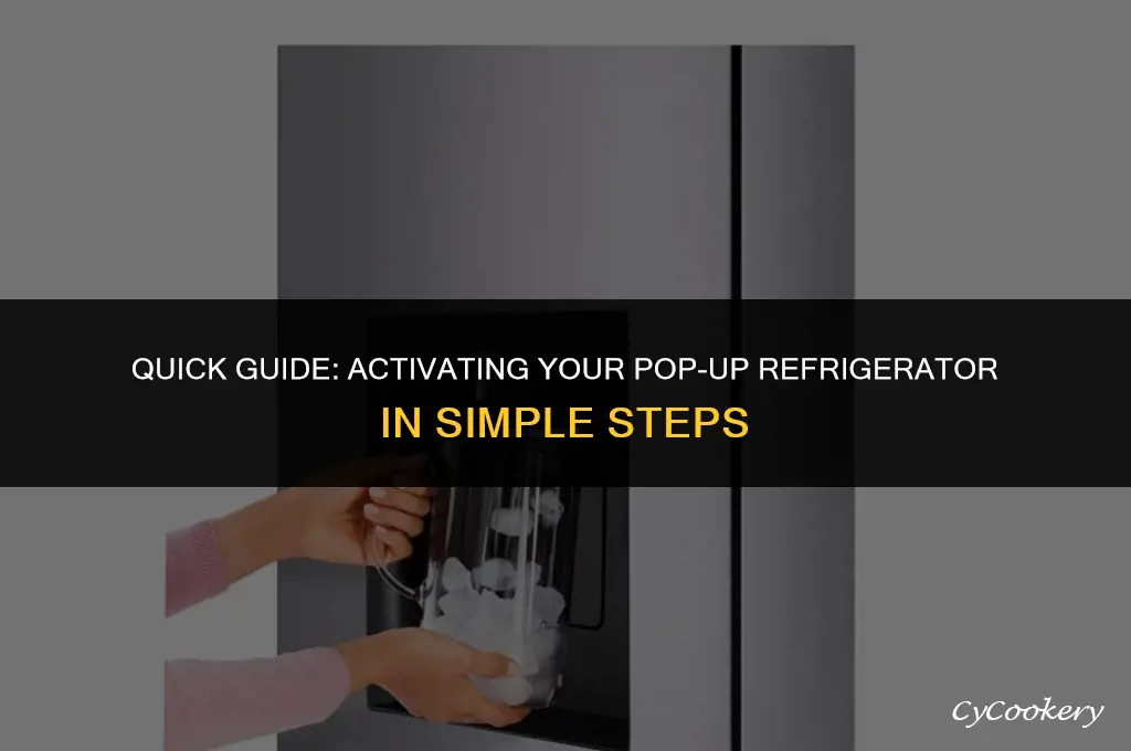 how to turn on refrigerator in pop-up