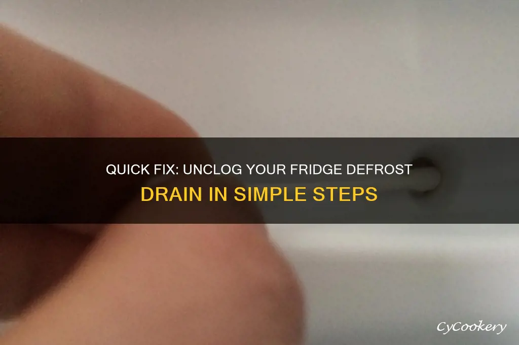 how to unclog a refrigerator defrost drain