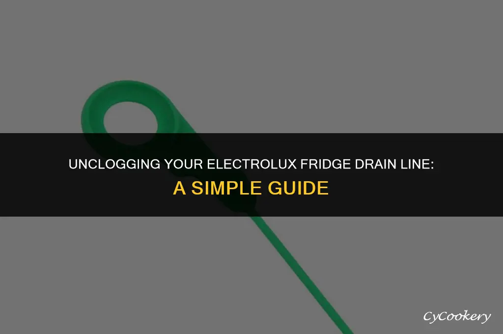 how to unclog an electrolux refrigerator drain line