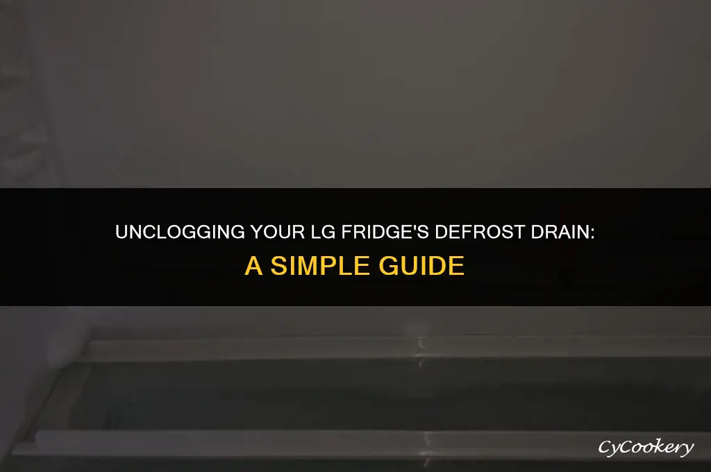 how to unclog defrost drain on lg refrigerator