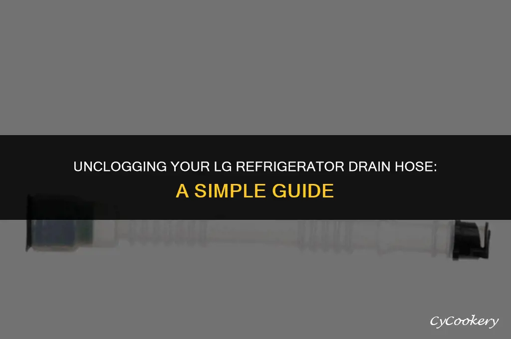 how to unclog drain hose on lg refrigerator