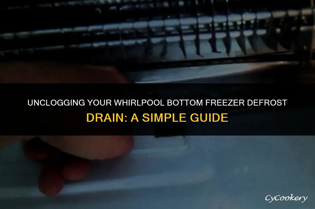 how to unclog refrigerator defrost drain bottom freezer whirlpool