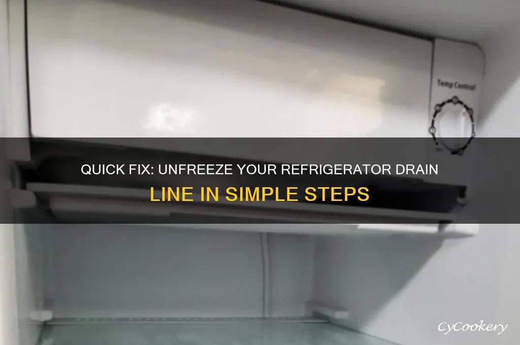 how to unfreeze a refrigerator drain line