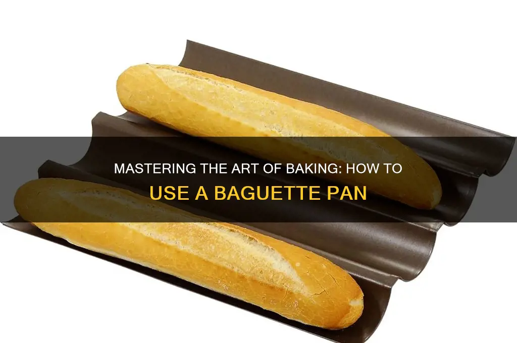 how to use a bagutte pan