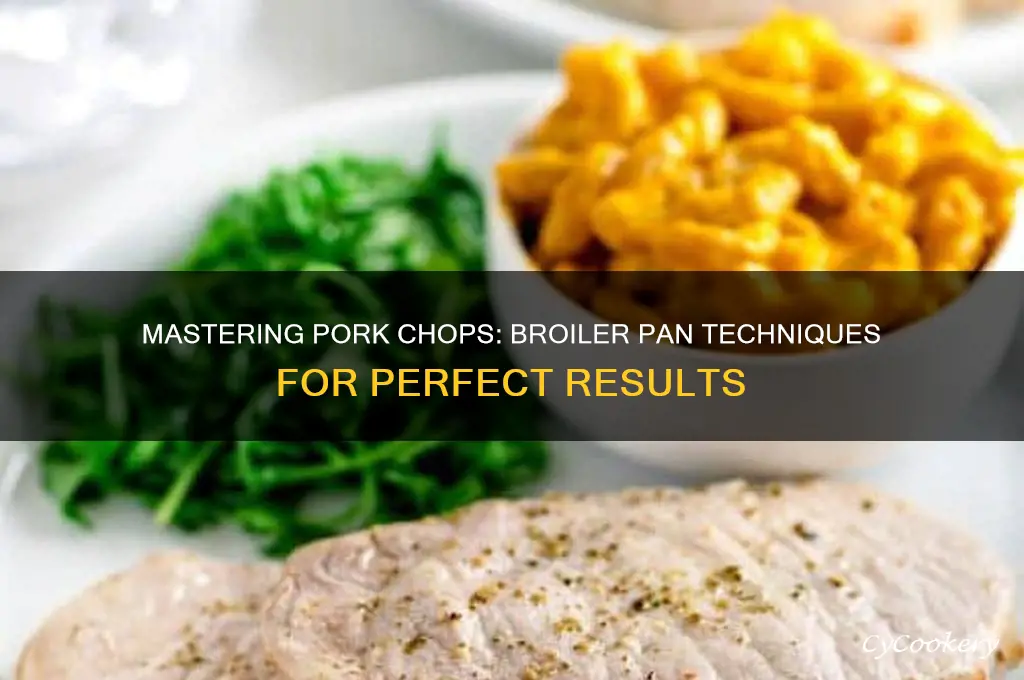 how to use a broiler pan for pork chops