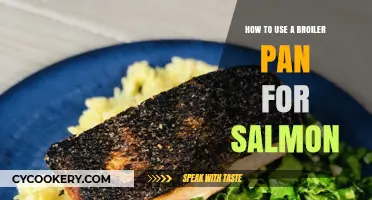Mastering Salmon: Tips for Using a Broiler Pan Perfectly