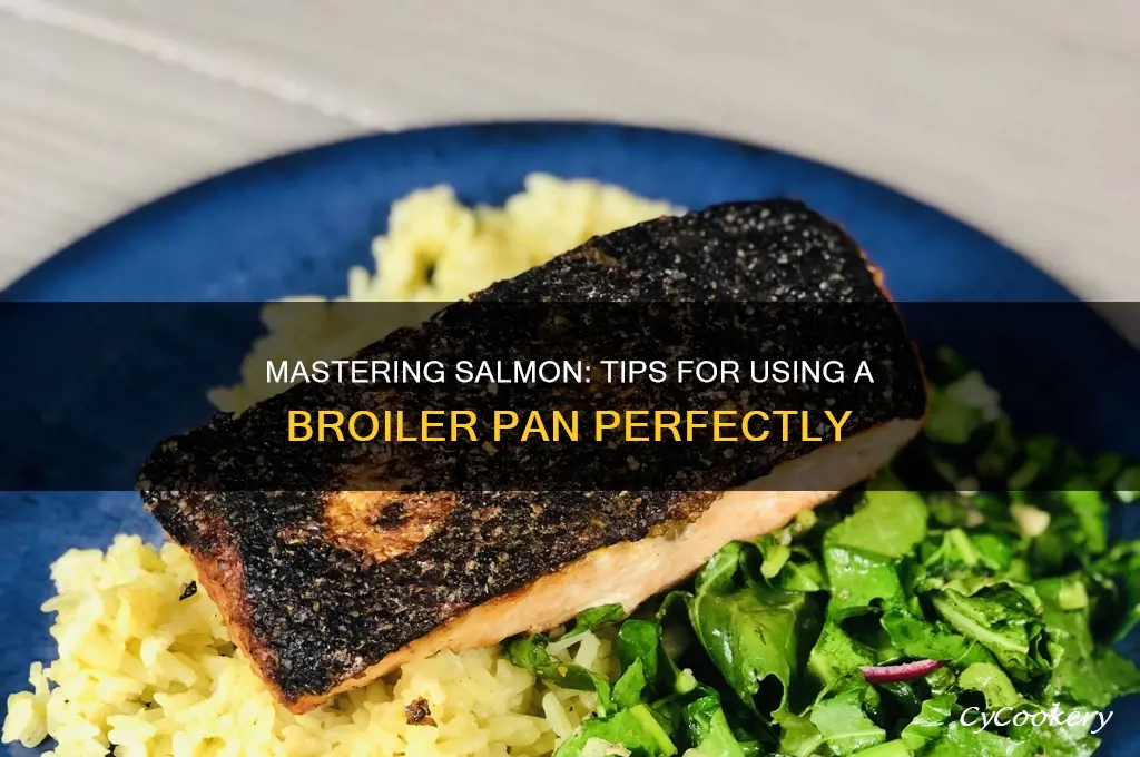 how to use a broiler pan for salmon