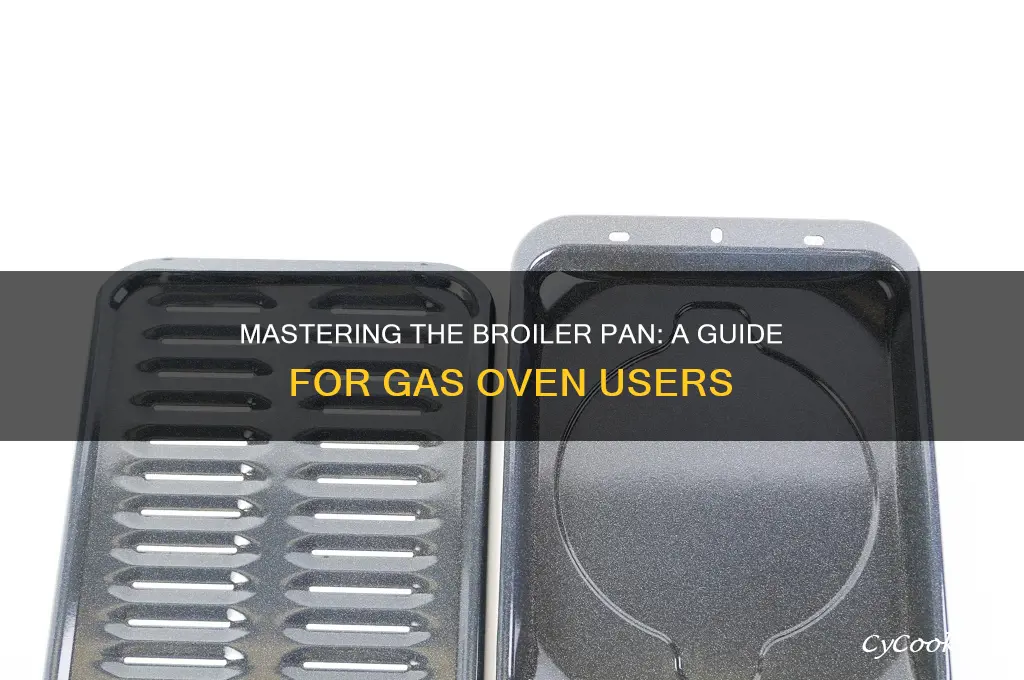 how to use a broiler pan in a gas oven