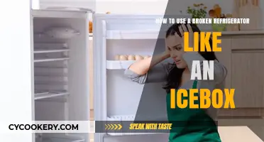 Reviving Retro: The Art of Using a Broken Fridge as an Icebox