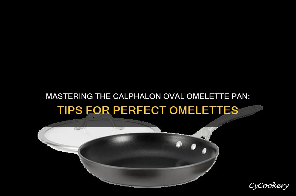 how to use a calphelone oval omlette pan