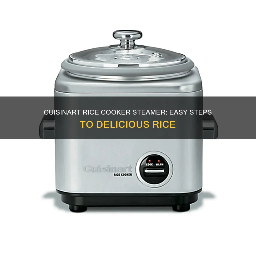 how to use a cuisinart rice cooker steamer