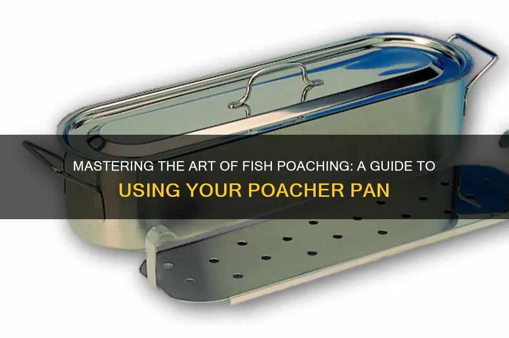 how to use a fish poacher pan