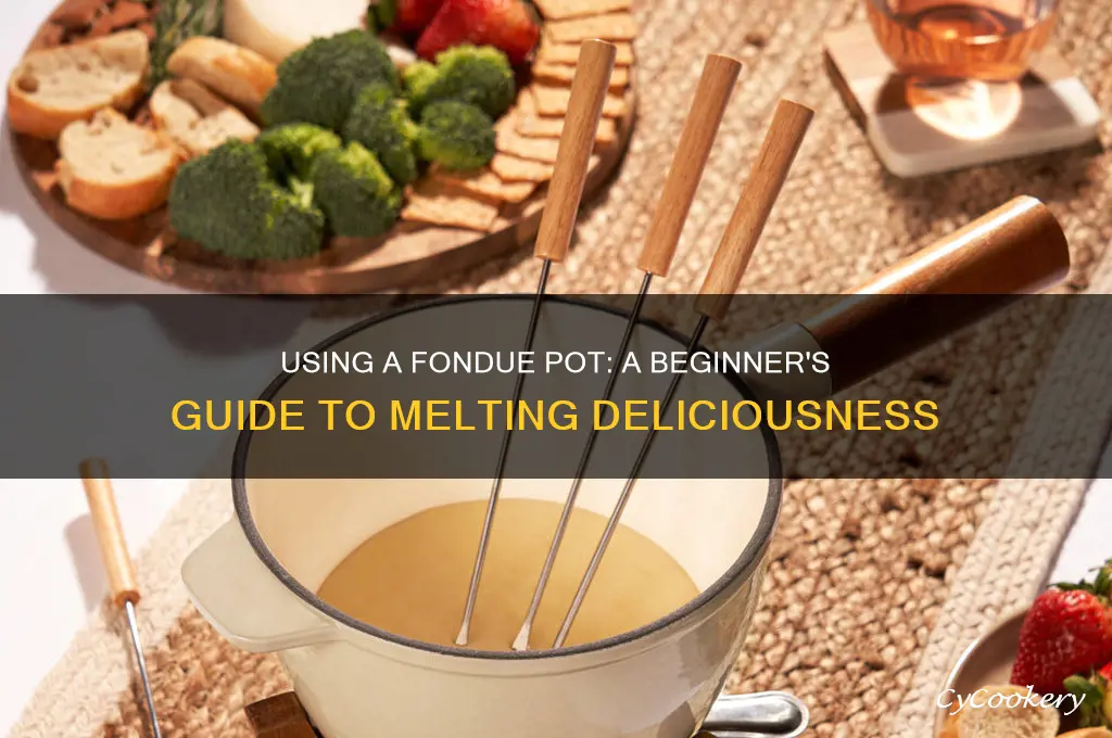 how to use a fondue pot to cook food