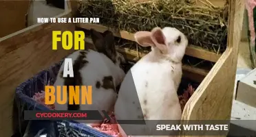 Training Your Bunny to Use a Litter Pan: A Step-by-Step Guide