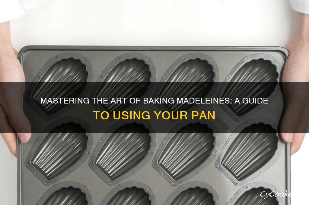 how to use a madeleine pan