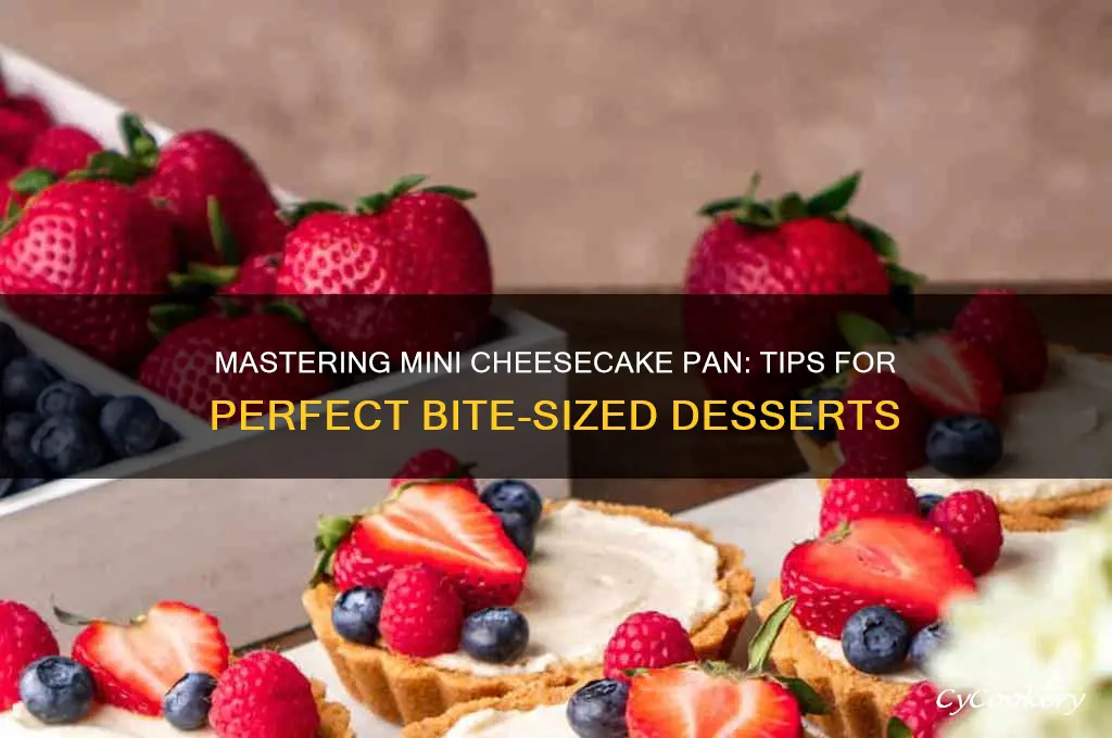 how to use a mini cheesecake pan