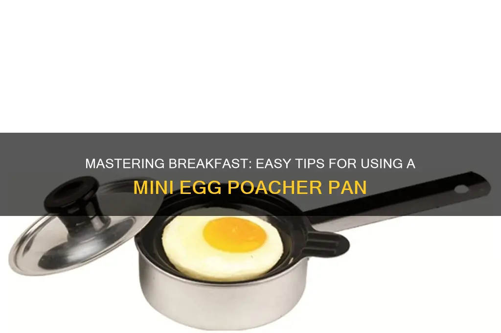 how to use a mini egg poacher pan