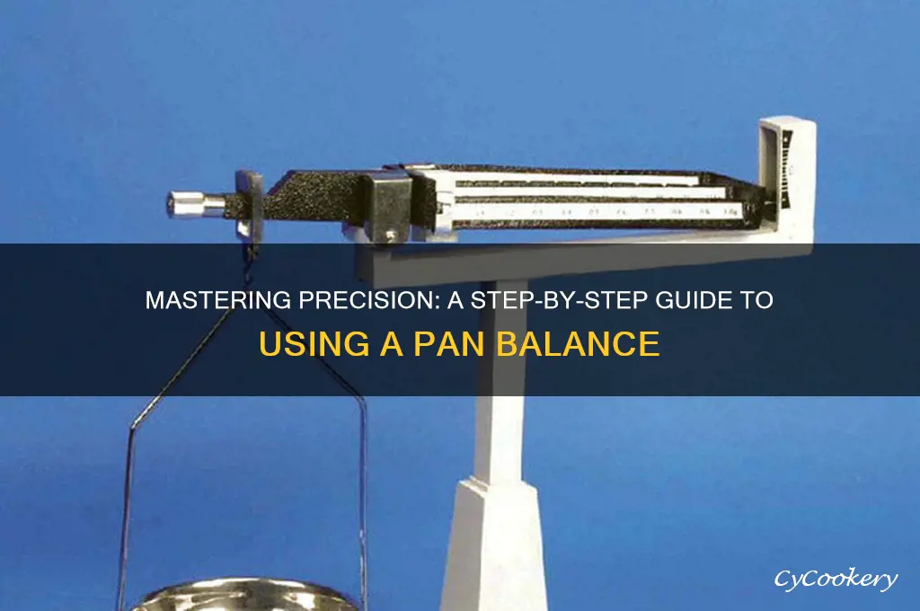 how to use a pan balance