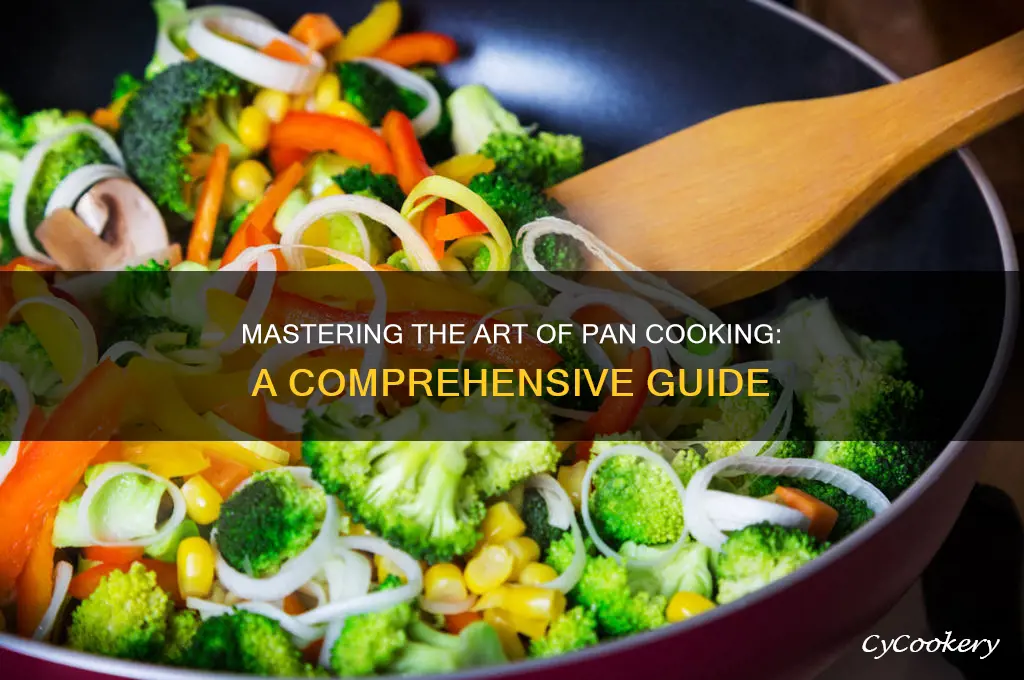 how to use a pan correctoy