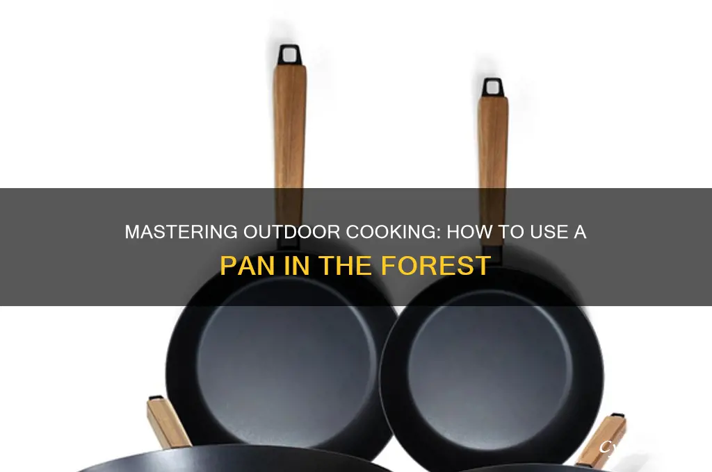 how to use a pan in the forest