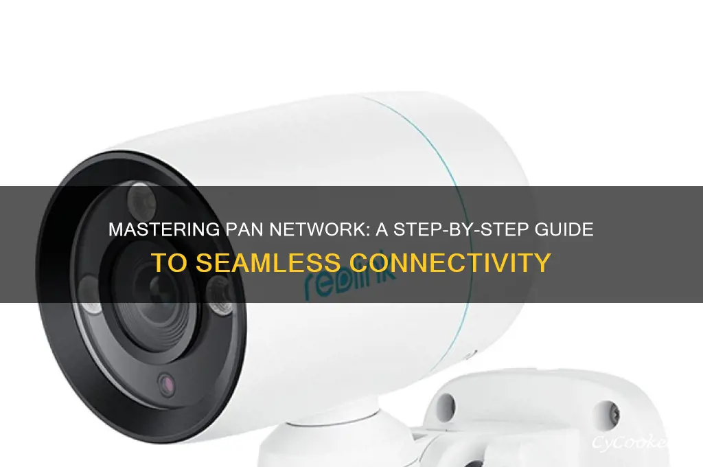 how to use a pan network