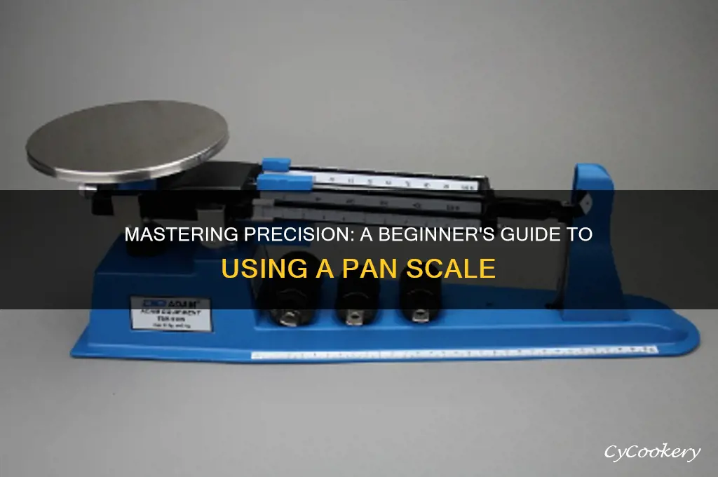 how to use a pan scale