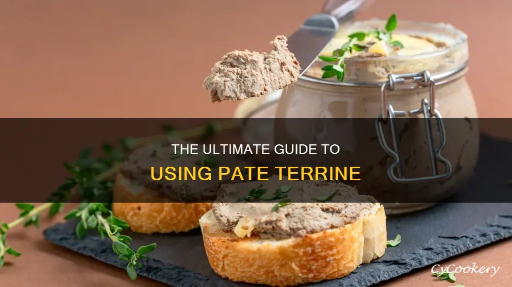 how to use a pate terrine