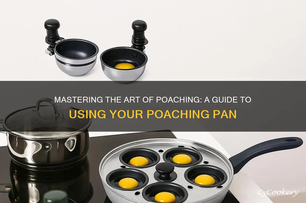 how to use a poaching pan