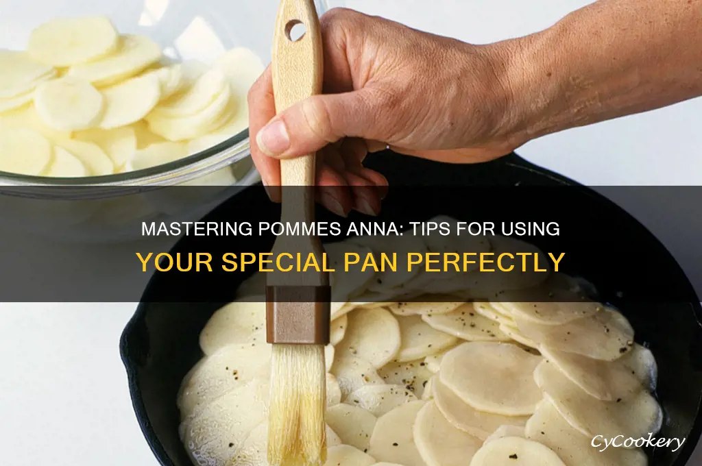how to use a pommes anna pan