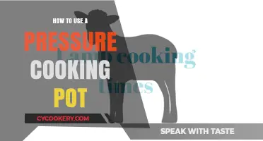 Mastering the Pressure Cooking Pot: A Beginner's Guide