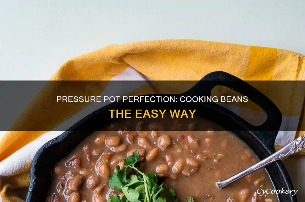 how to use a pressure pot to cook beans