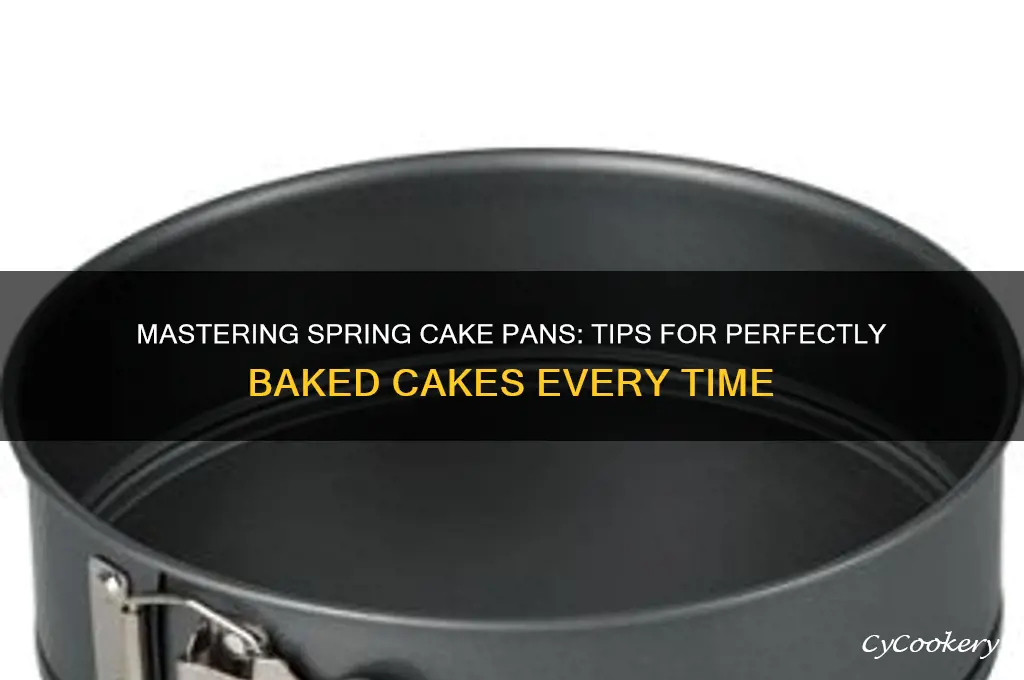 how to use a spring cake pan