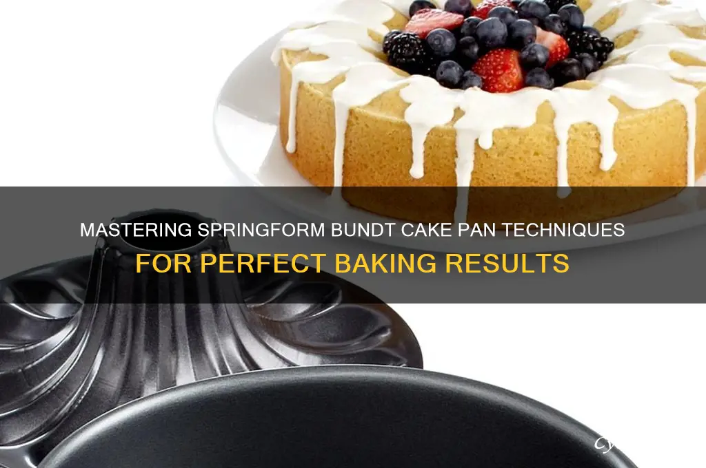 how to use a springform bundt cake pan